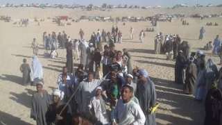 مهرجان للفروسية بمركزشباب الدير بإسنا