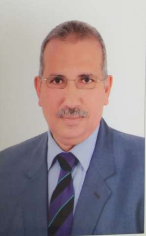 د.عادل عامر