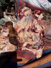 إعدام 83 كيلو من اللحوم...