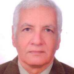 حديث الساعة