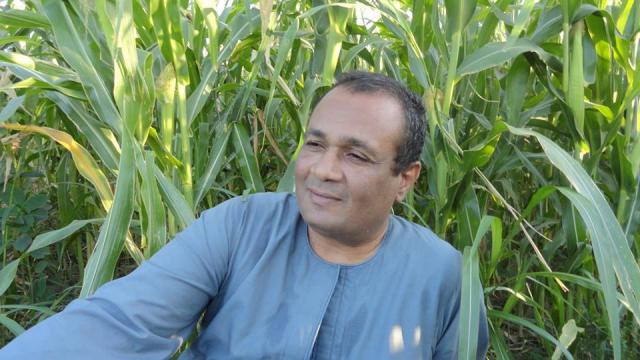 عادل صابر