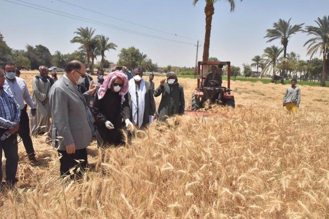 محافظ أسيوط يتفقد بدء حصاد محصول القمح