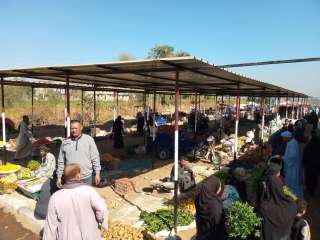 نقل سوق ”البحري قمولا ”...