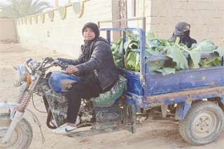 الرئيس السيسي يوجه بعلاج والدة...