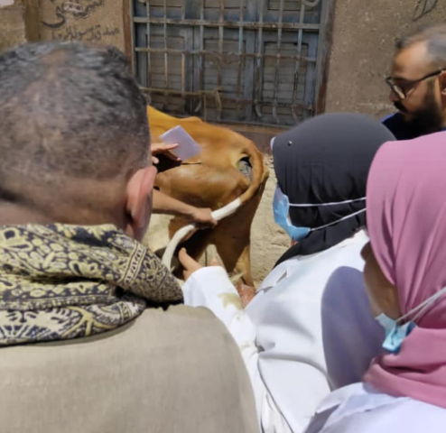 قافلة بيطرية