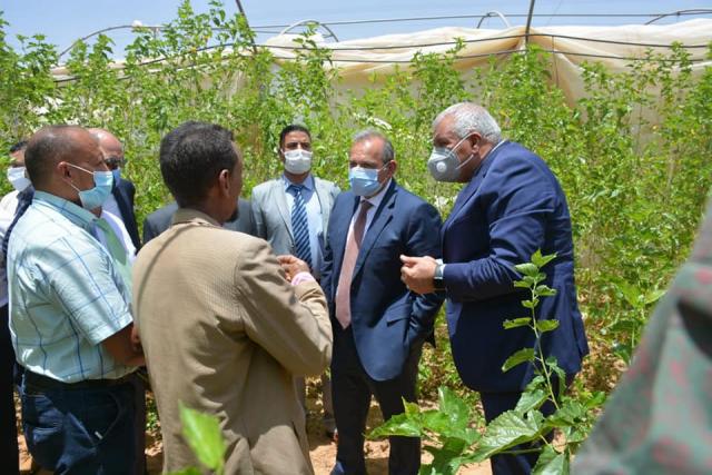 محافظ الوادي الجديد ورئيس البنك الأهلي