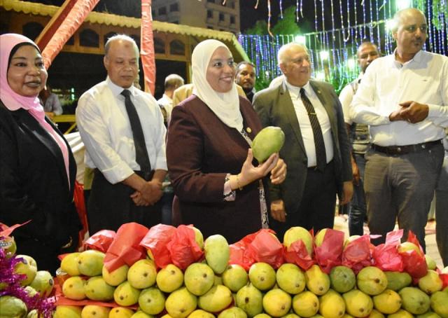 مهرجان مانجو أسوان