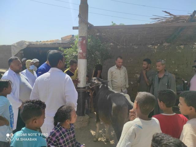 قافلة بيطرية
