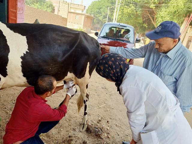 قافلة بيطرية