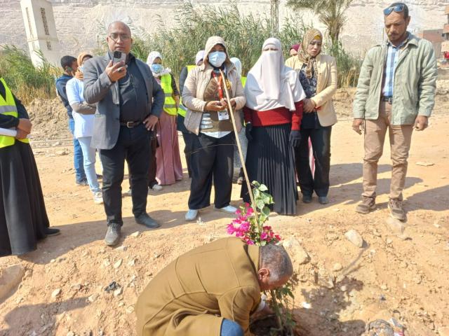تشجير الشوارع
