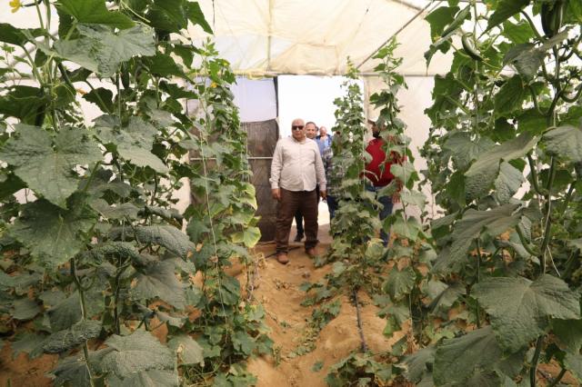 محافظ الوادي الجديد يتفقد مشروع زراعي