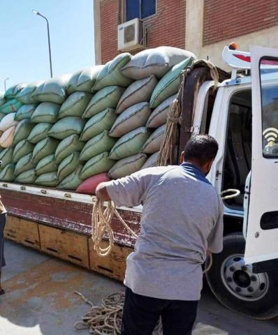 توريد القمح