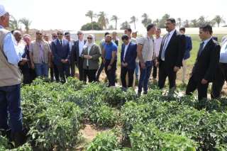 وزيرة التضامن الاجتماعي ونائب محافظ...