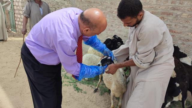 قافلة بيطرية
