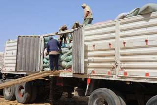 توريد 327 ألف طن من...