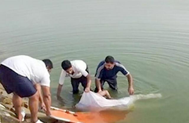 صورة ا{شيفية