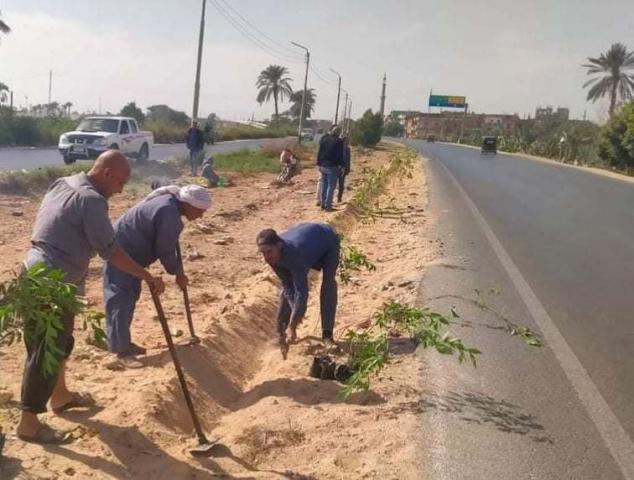 زراعة الأشجار