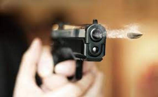 صورة اريشفية