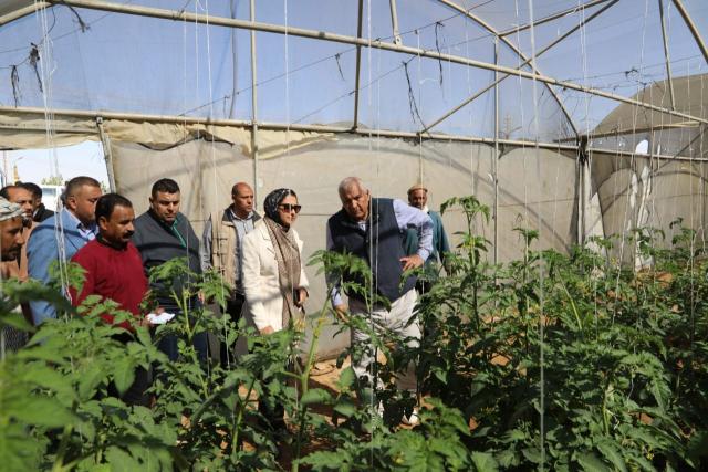 محافظ الوادي الجديد يتفقّد مشروعات الصوب الزراعية