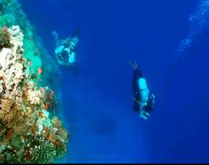 موقع ”نيويورك تايمز” يختار مدينة...