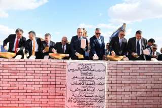 محافظ الفيوم والسفير الياباني يضعان...