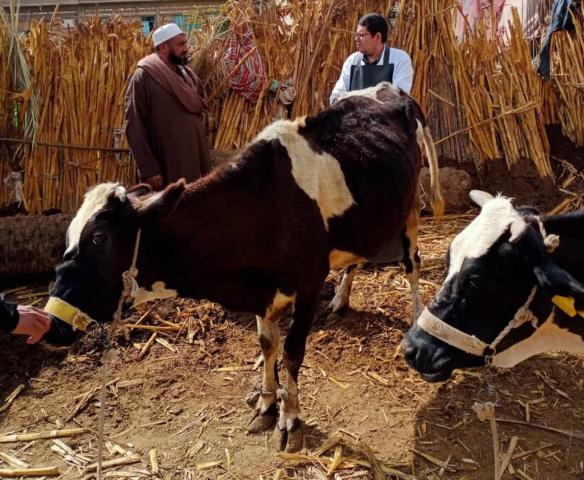 قافلة بيطرية