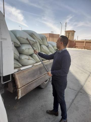توريد القمح