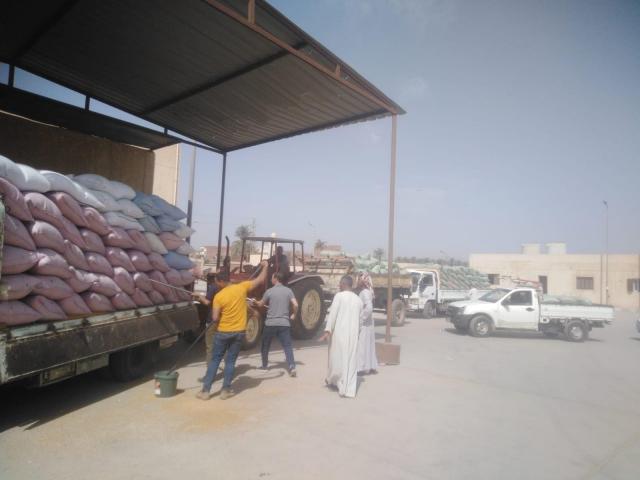 توريد القمح