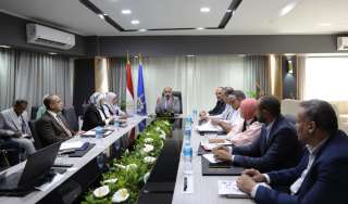 تعديل مساحة كردون مدينة أسوان...