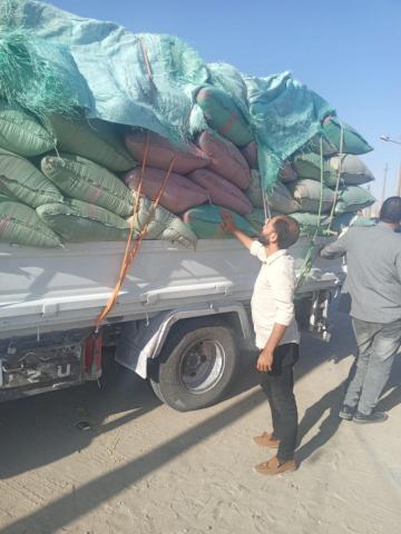 توريد القمح