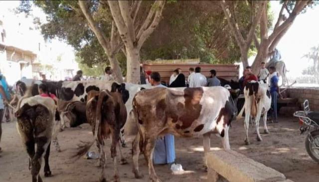قوافل بيطرية