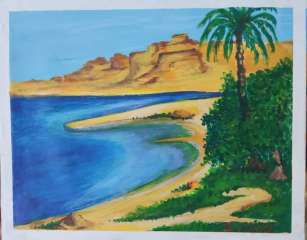 شارك بلوحاته في عدة مهرجانات...