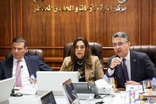 عبر الفيديو كونفرانس.. وزراء التنمية...