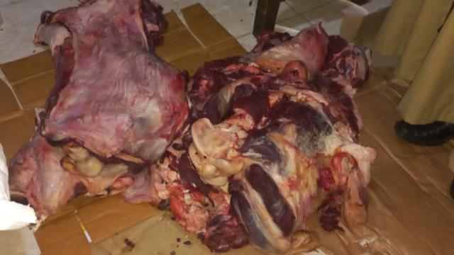 المضبوطات