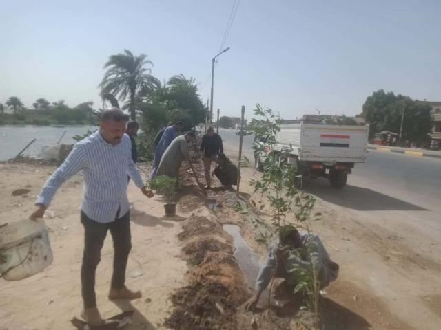 مبادرة مليون شجرة
