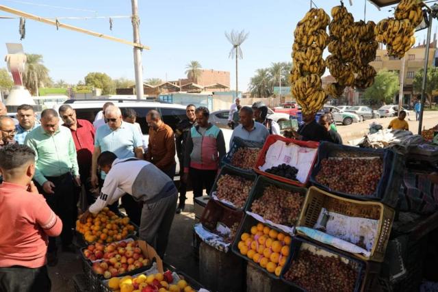 جولة محافظ الوادي الجديد