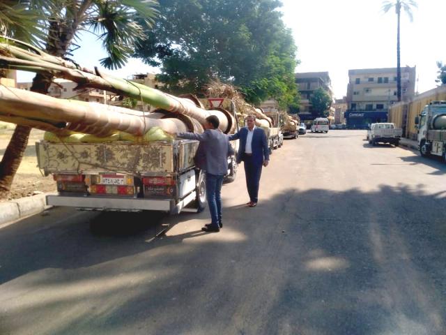 زراعة الاشجار