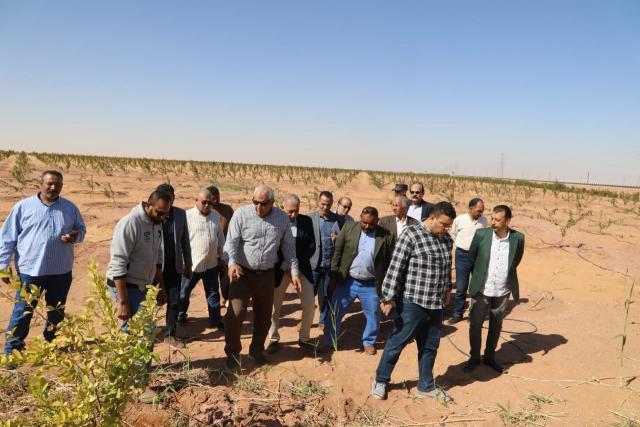 جولة .محافظ الوادي الجديد