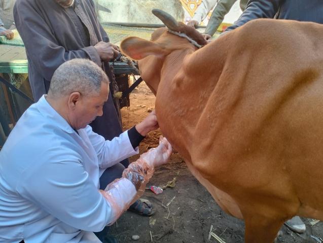 قافلة بيطرية