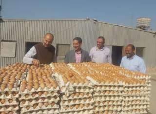 محافظ بني سويف : تشغيل...