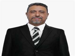 المهندس أيمن حافظ : مشاركة...
