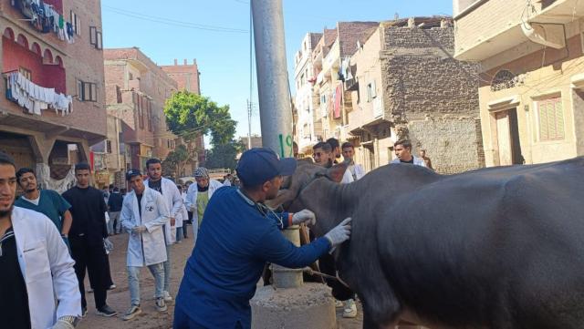قافلة جامعة سوهاج البيطرية