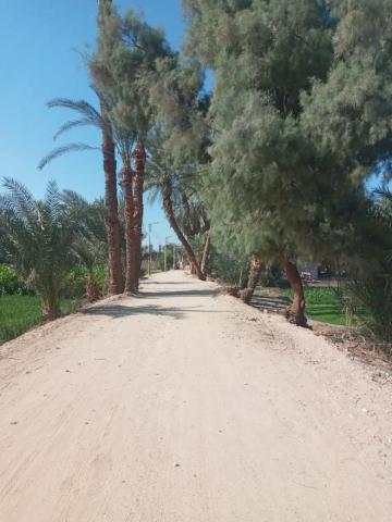 رصف شارع الحبيل الرئيسي
