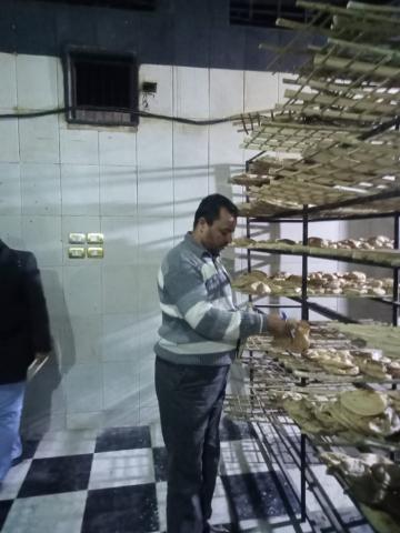 حملات تموينية