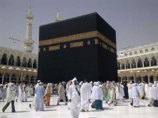 غلق 10 كيانات بالفيوم تنظم...