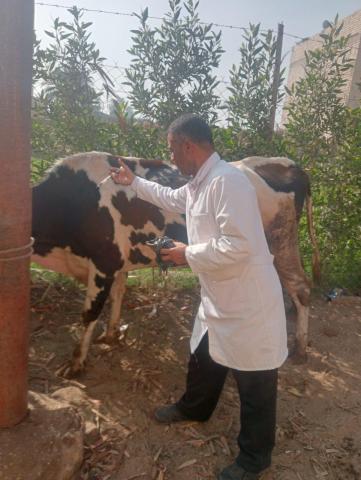 قافلة بيطرية