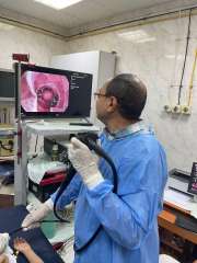 وحدة أمراض الجهاز الهضمي والكبد للأطفال...