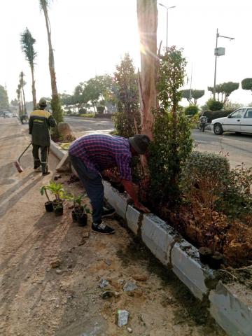 أعمال التشجير