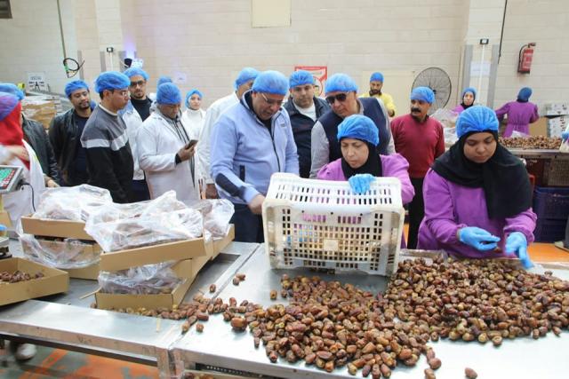 محافظ الوادي الجديد يتفقَّد مجمع التمور المطور