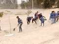 البدء في زراعة مدخل محمية...